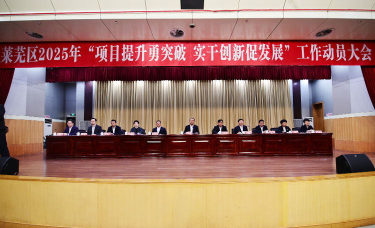 莱芜区2025年“项目提升勇突破 实干创新促发展”工作动员大会召开 - 莱芜生活网