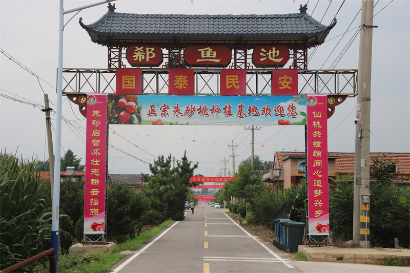 “桃”离致富丨寨里镇郗鱼池村：党支部领办合作社做活“桃”经济 一颗桃苗酿出乡村振兴“蜜”滋味 - 莱芜生活网