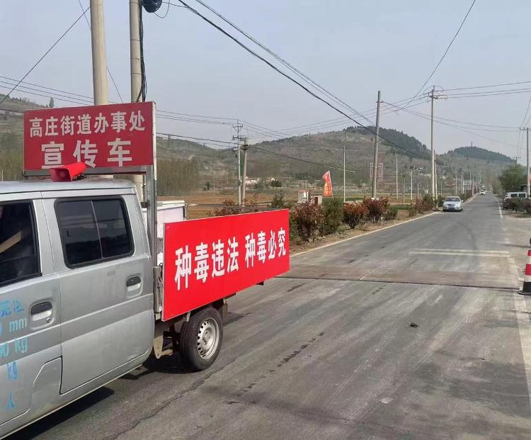 高庄街道：春意盎然万物生 禁种铲毒进行时 - 莱芜生活网