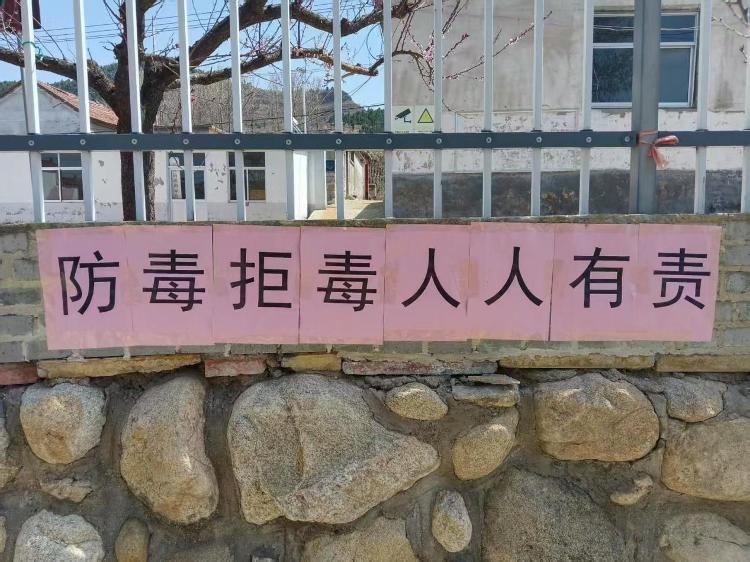 高庄街道：春意盎然万物生 禁种铲毒进行时 - 莱芜生活网