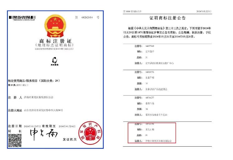 莱芜区再添两件地理标志证明商标