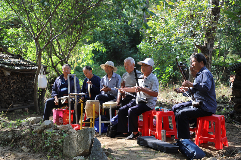 “唐风栗韵 非遗雅集”2024年济南・莱芜非遗游园会暨独路村第二届板栗节开幕 - 莱芜生活网