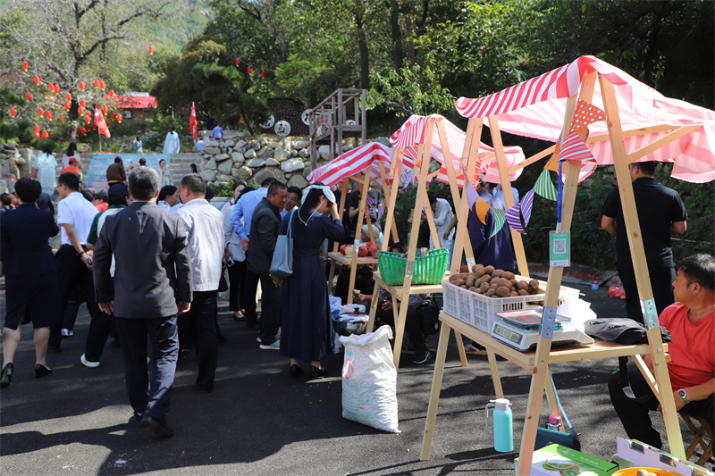 “唐风栗韵 非遗雅集”2024年济南・莱芜非遗游园会暨独路村第二届板栗节开幕 - 莱芜生活网