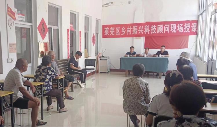 莱芜区苗山镇：科技顾问下乡，为农业插上科技的“翅膀” - 莱芜生活网