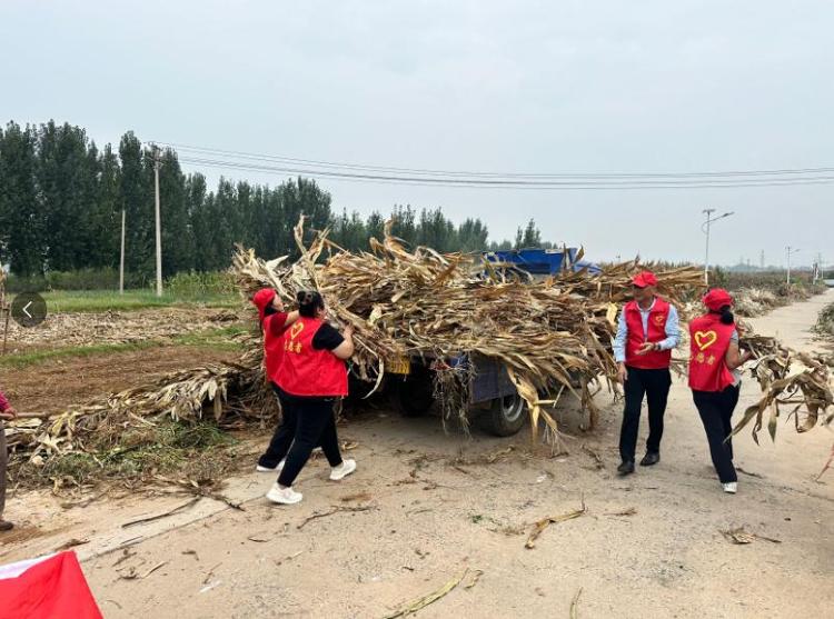 莱芜区牛泉镇：“秸尽全力”齐动员 “青山绿水”守家园