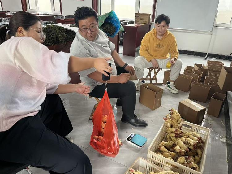 莱芜区茶业口镇：直播助农新热潮 西嵬石村焕生机 - 莱芜生活网