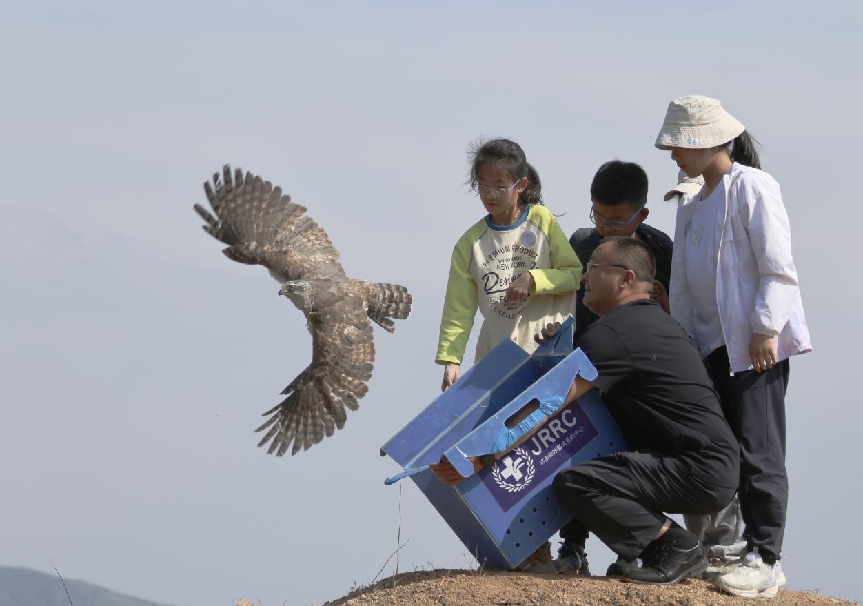 莱芜区：保护野生鸟类 守护区域生物多样性 - 莱芜生活网