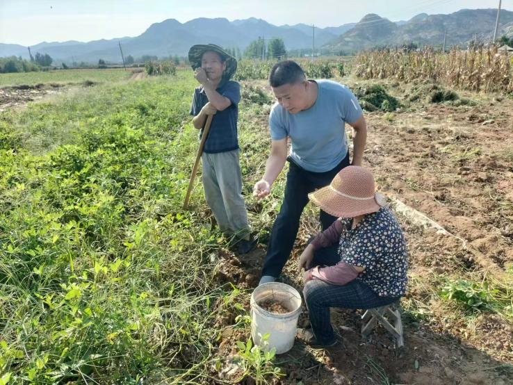 莱芜区大王庄镇虎口崖村：第一书记沉一线 乡村旧貌焕新颜