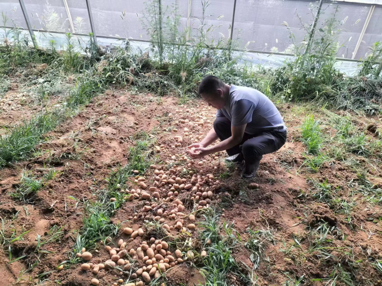 莱芜区大王庄镇虎口崖村：第一书记沉一线 乡村旧貌焕新颜 - 莱芜生活网