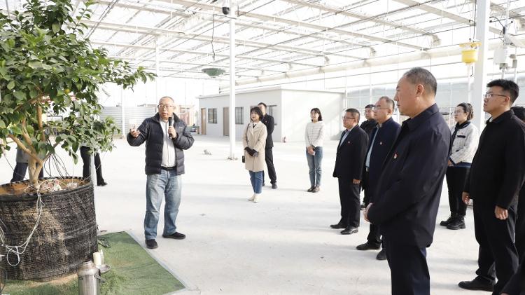 莱芜农高区：党建联盟红色领航 园区党建添劲赋能