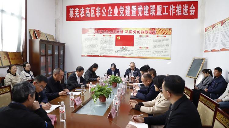 莱芜农高区：党建联盟红色领航 园区党建添劲赋能 - 莱芜生活网