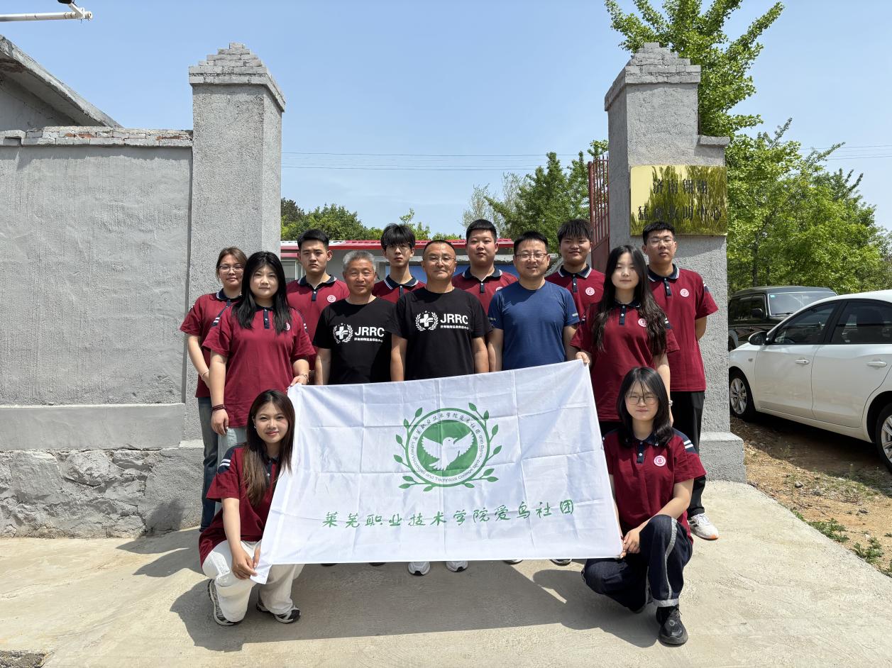 莱芜区：保护野生鸟类 守护区域生物多样性 - 莱芜生活网