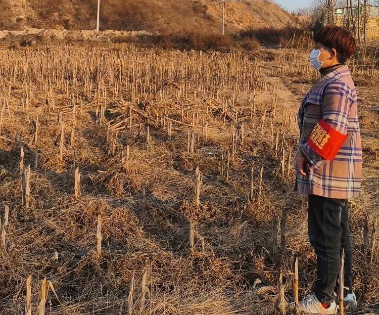 莱芜区高庄街道北十里河村：文明祭祀护平安 筑牢森林防灭火防线
