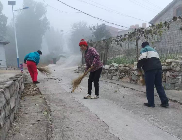 莱芜区茶业口镇埠口村开展人居环境整治
