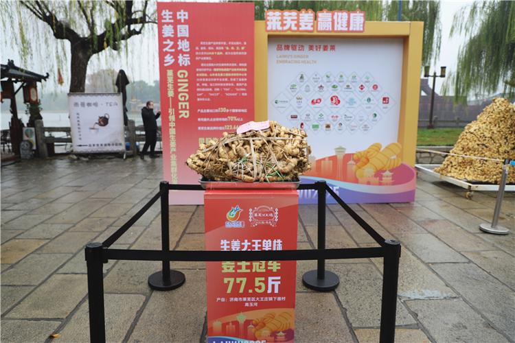 2025中国・济南（莱芜）第十二届国际姜产业博览会暨莱芜YOU选好品市集主题推广活动启幕 - 莱芜生活网