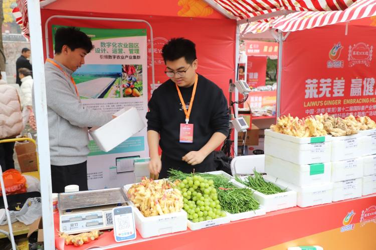 2025中国・济南（莱芜）第十二届国际姜产业博览会暨莱芜YOU选好品市集主题推广活动启幕 - 莱芜生活网