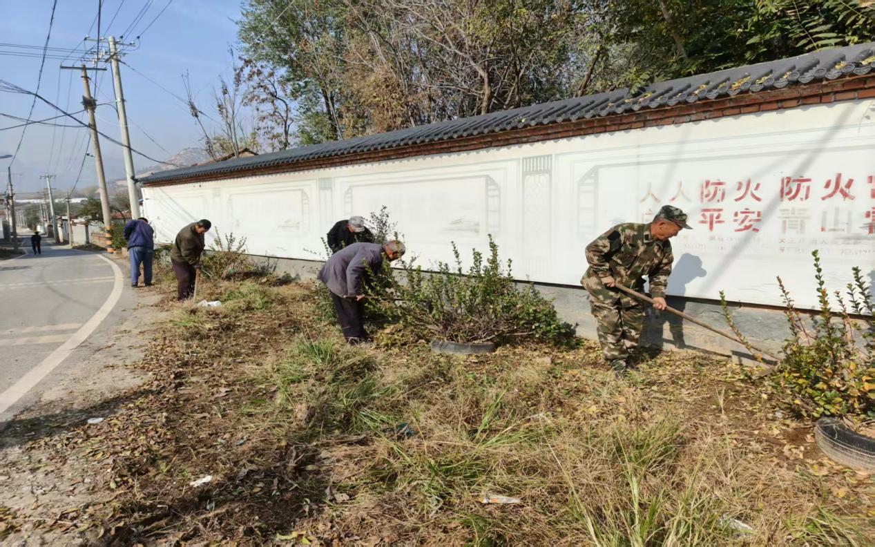 莱芜区大王庄镇虎口崖村：清扫落叶净家园 环境提升焕新颜