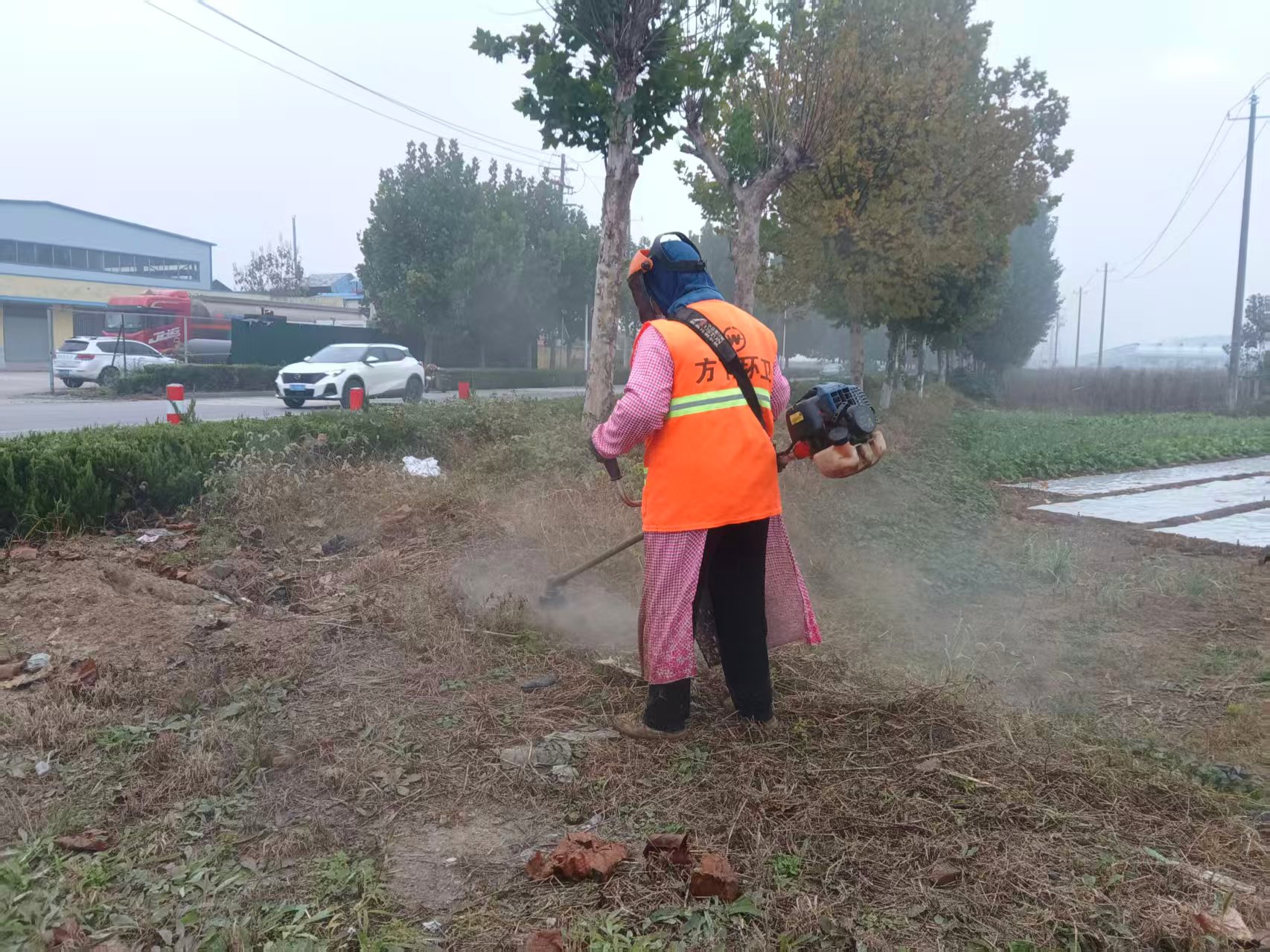 【冬季绿化养护正当时】莱芜区方下街道开展绿化集中整治行动 - 莱芜生活网