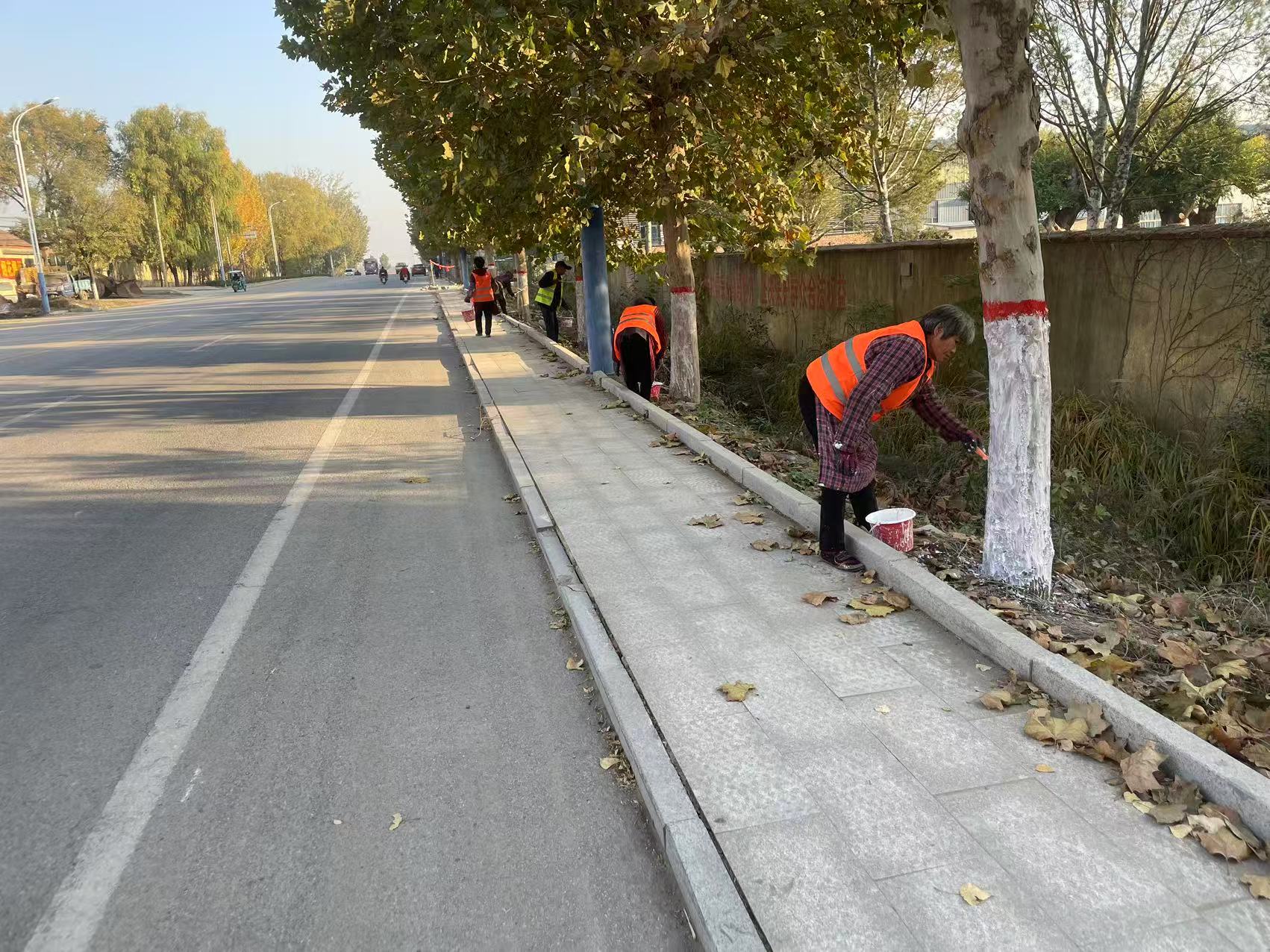 【冬季绿化养护正当时】莱芜区方下街道开展绿化集中整治行动 - 莱芜生活网