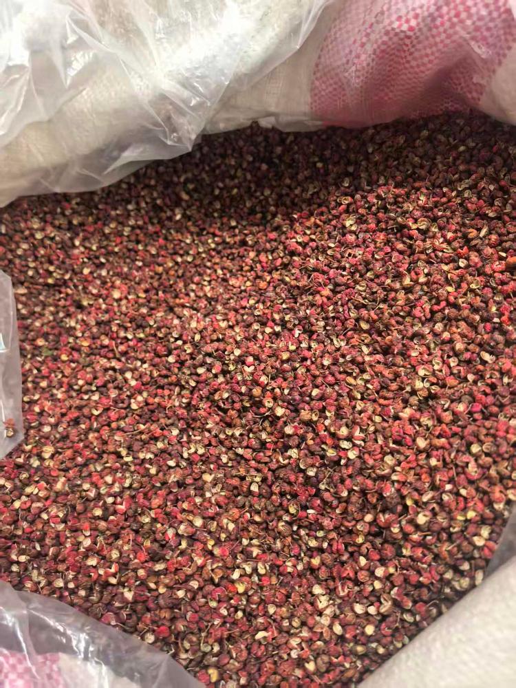 莱芜区茶业口镇：椒香飘原野 服务促振兴