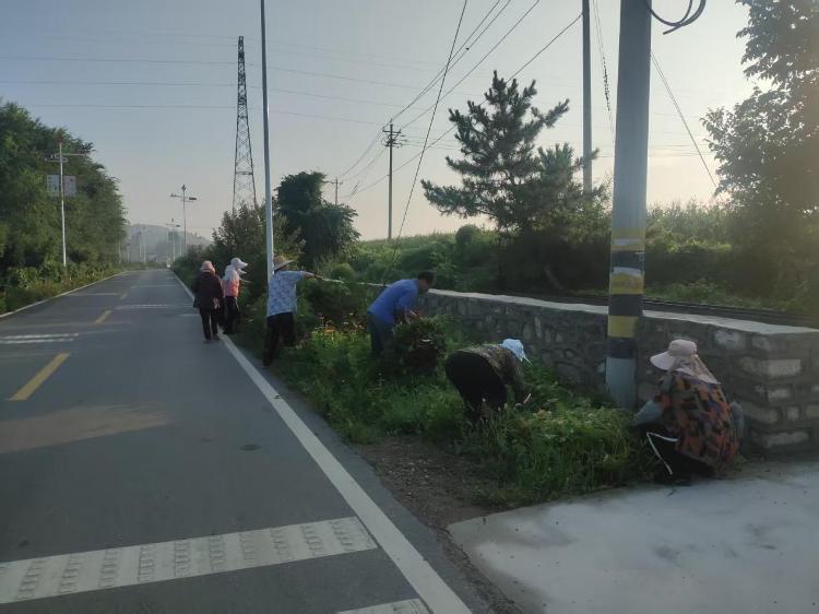 莱芜区高庄街道鲁家庄村：旧貌换新颜 宜居新画卷 - 莱芜生活网