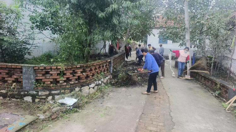 莱芜区高庄街道老君堂村：村庄换新颜 整治见实效