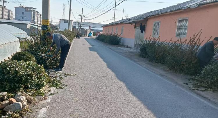 莱芜区高庄街道南坦村：整治出实效 家园换新颜