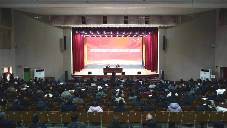 淬炼成钢强党性 实干担当促振兴——莱芜区高庄街道2025年党员示范培训班圆满落幕