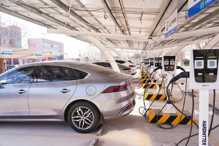 莱芜区：共促绿色低碳建设 绘制美丽生活新画卷 - 莱芜生活网