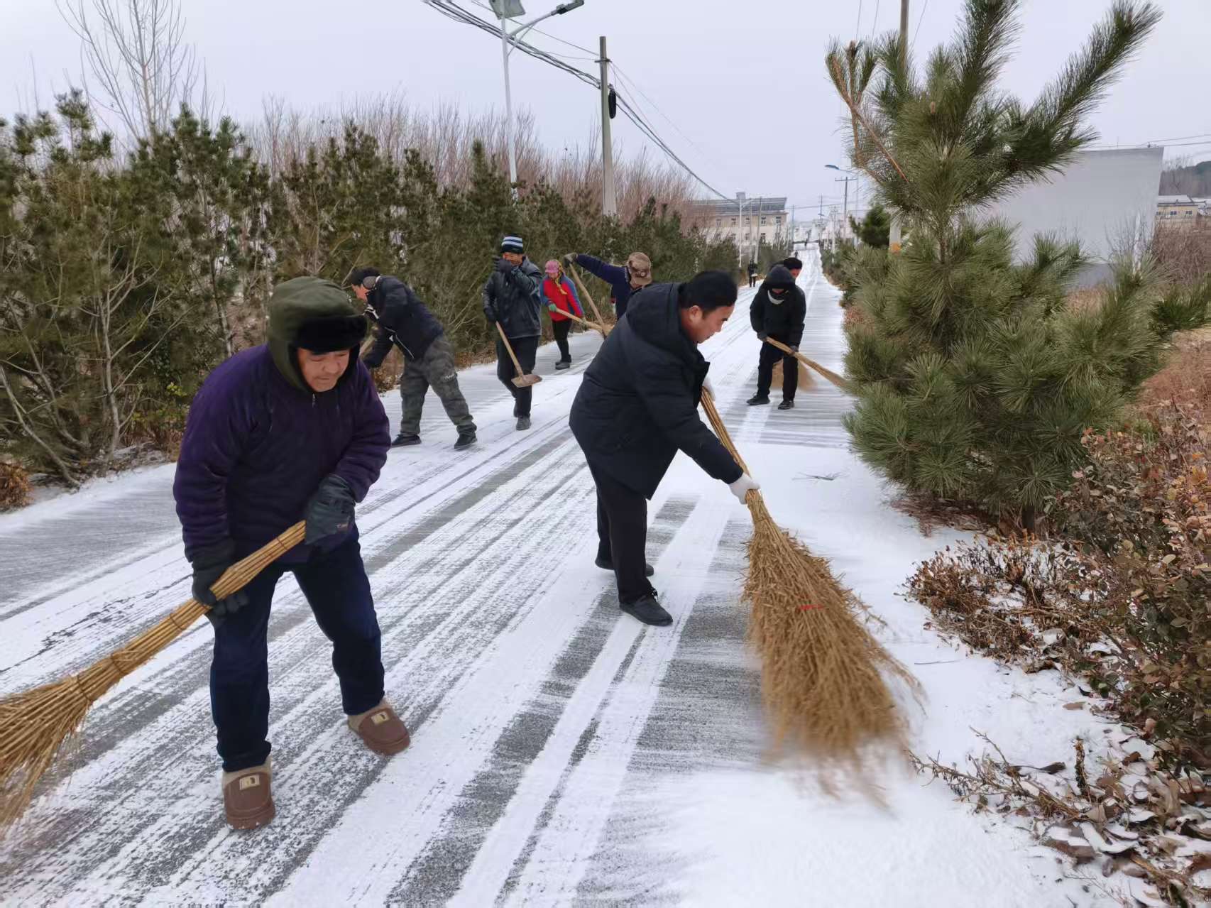 大王庄镇杨家庄村：扫雪除冰齐上阵，冬日温情暖人心 - 莱芜生活网