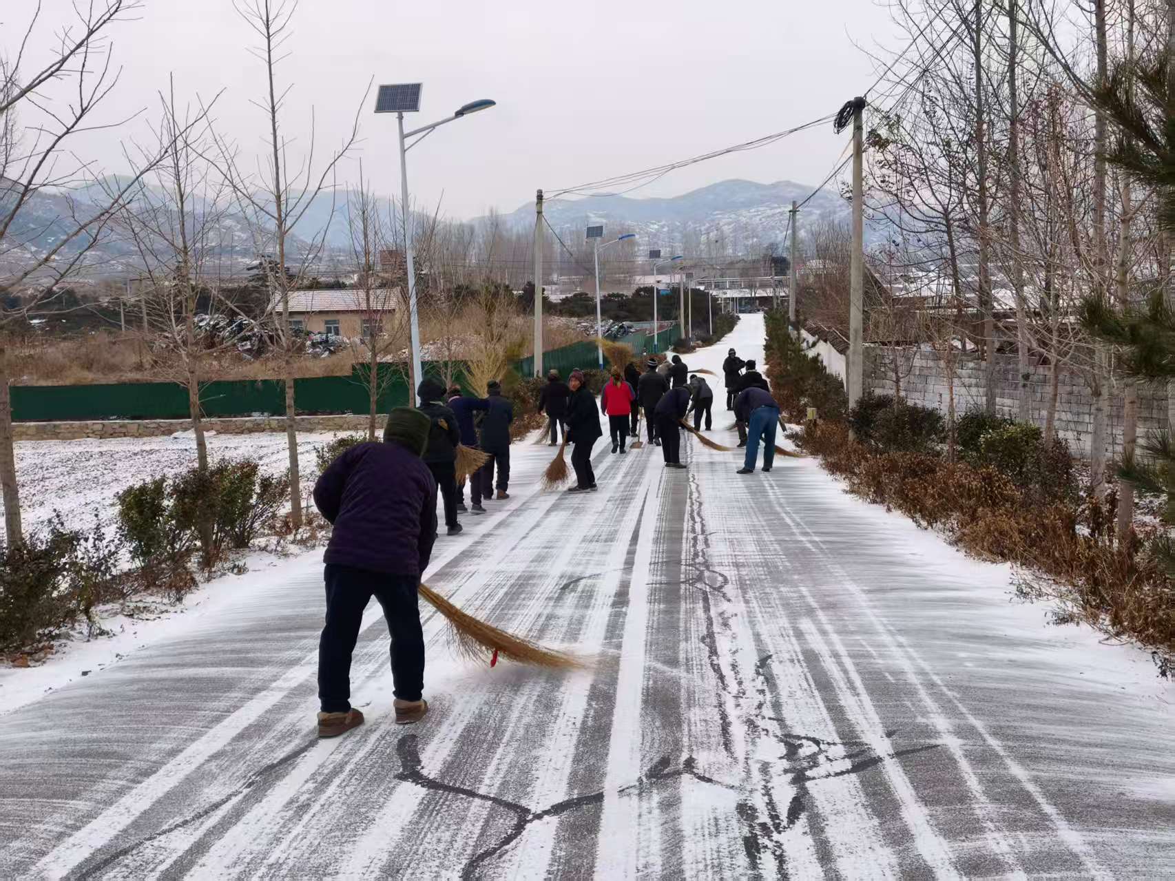 大王庄镇杨家庄村：扫雪除冰齐上阵，冬日温情暖人心