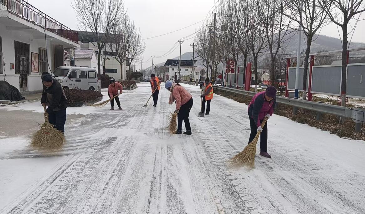 大王庄镇：以雪为令践初心 干群同心护民生